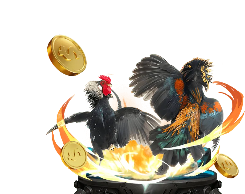Lý do chọn Vua88 Casino cho đá gà